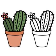cacti in pot
