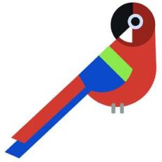 macaw parrot