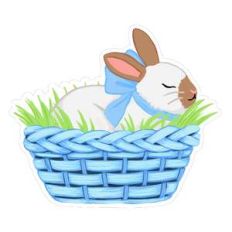 bunny in a basket