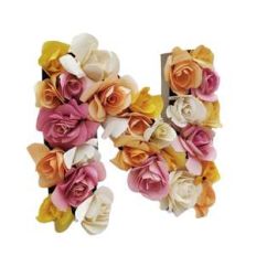 3d floral letter N