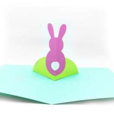 bunny pop up card