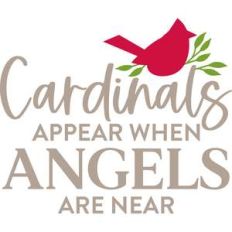cardinals appear when angels are near