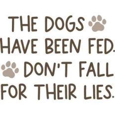 the dogs have been fed