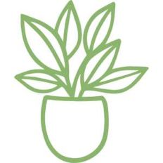 potted plant