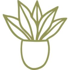 potted plant