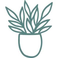 potted plant