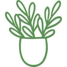 potted plant