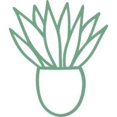 potted plant