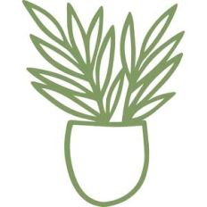 potted plant
