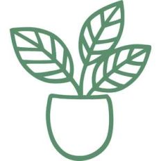 potted plant