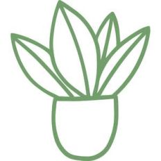 potted plant