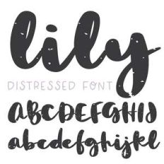 dtc lily
