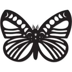 cosmic moon moth