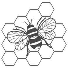 bee on hive