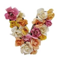 3d floral letter V