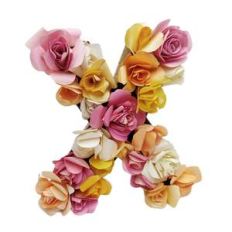 3d floral letter X