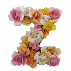 3d floral letter Z