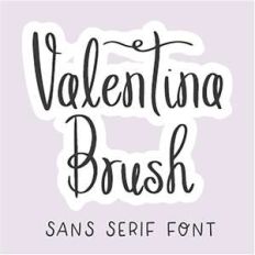 dtc valentina brush
