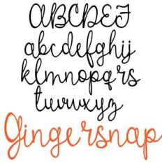 zp gingersnap