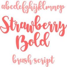 strawberry bold brush script