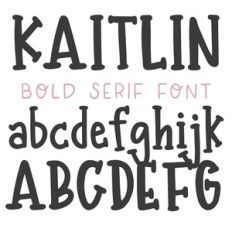 dtc kaitlin serif