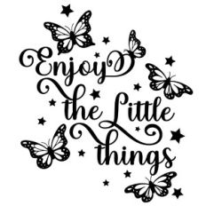 enjoy the little things butterfly quote
