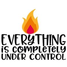 everything is completely under control