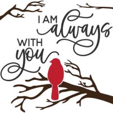 I am always with you - red cardinal
