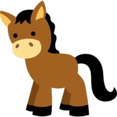 cute horse