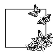 butterfly square frame