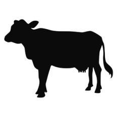 cow silhouette