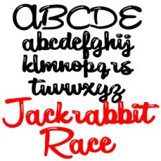 zp jackrabbit race