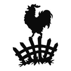 rooster on fence