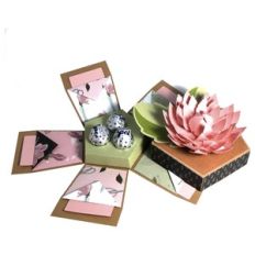 flower explosion box