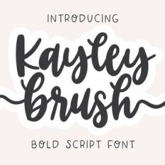 dtc kayley brush