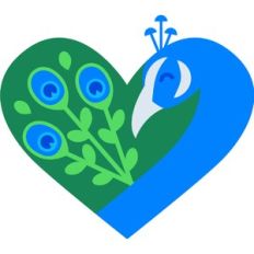 peacock heart