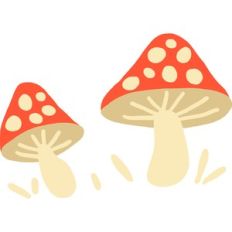 illustrated mushrooms