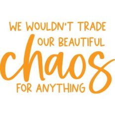 our beautiful chaos
