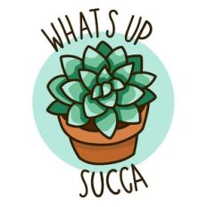 what's up succa