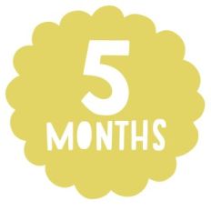 five months
