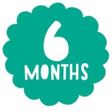 six months