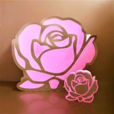 la vie en rose