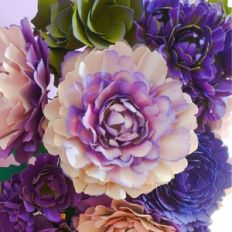 garden rose - majestic