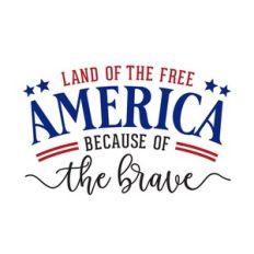 land of the free because of the brave