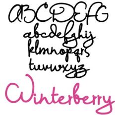 pn winterberry