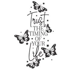 trust the timing of your life