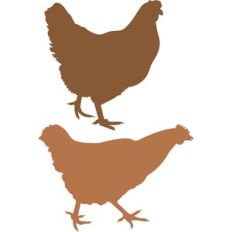 chickens silhouette