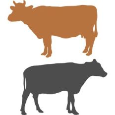 cows silhouette