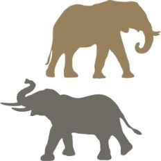 elephants silhouette