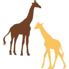 giraffes silhouette